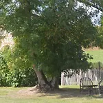 Bed & Breakfast Le Clos Du Murier 3*