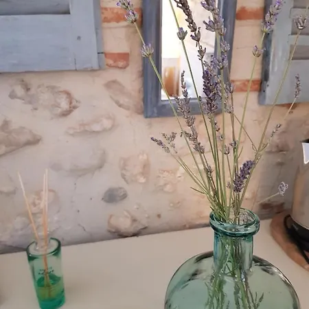 Bed and breakfast Le Clos Du Murier Fongrave