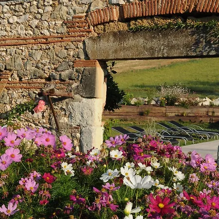 Bed and breakfast Le Clos Du Murier 3*